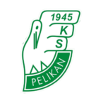 KS Pelikan Łowicz